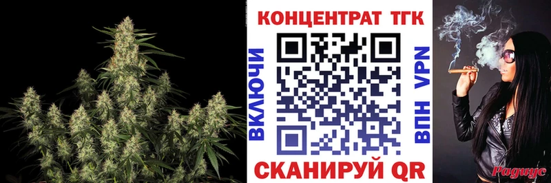 закладка  Среднеколымск  ТГК концентрат 